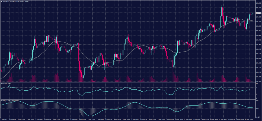 USDX 16